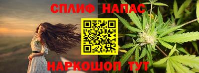 МДПВ Краснознаменск