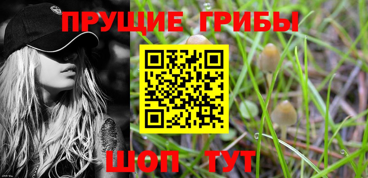 Галлюциногенные грибы MAGIC MUSHROOMS  как найти   Вход с VPN  Кострома  Галлюциногенные грибы Psilocybe 