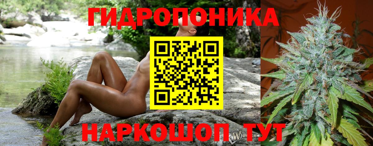 Каннабис семена  Вход с VPN  МАРИХУАНА Amnesia  Кострома  Конопля VHQ 